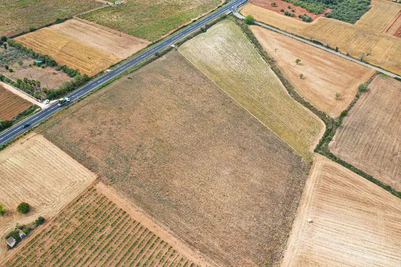 Baugrundstück mit Blick auf Sant Salvador — photo 4
