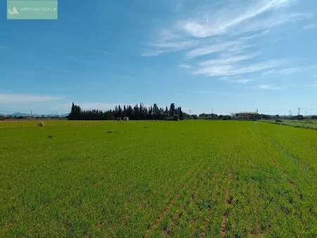 Rural Land - Sa Pobla (Pobla (Sa)), Built Surface 46m², Plot Surface 9574m² — photo 6