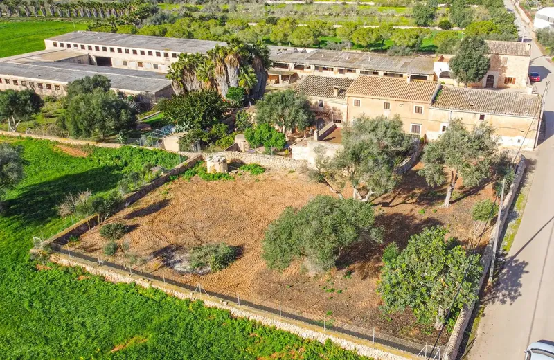 Charming rustic finca with great renovation potential in Ses Salines πΏ β photo 3