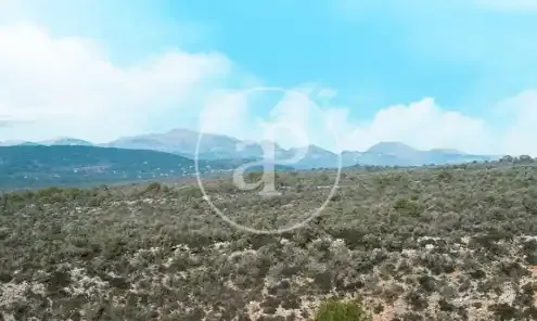 Exclusive Luxury Villa in Son Gual — photo 11