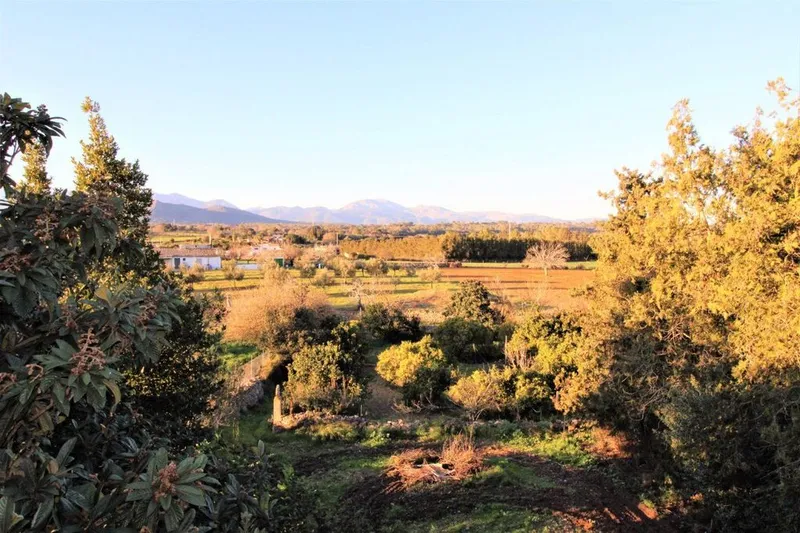 Rural or Farmhouse in Llubí, Province of Balearic Islands — photo 5
