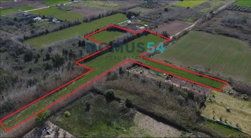 Rustic land not to be built on in Sa Pobla — photo 3