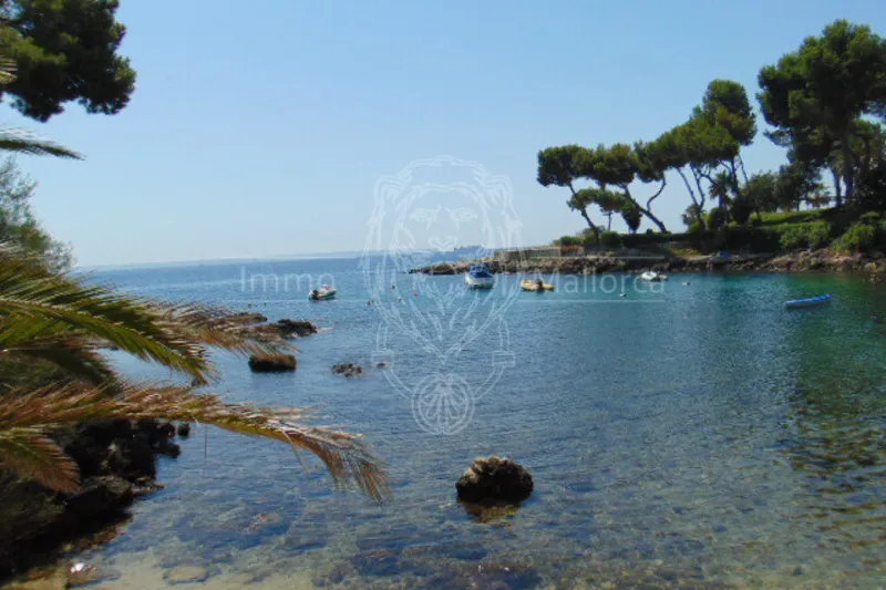 Cas Catala – Illetas – Marvellous first line flat with sea views and beach access — photo 1