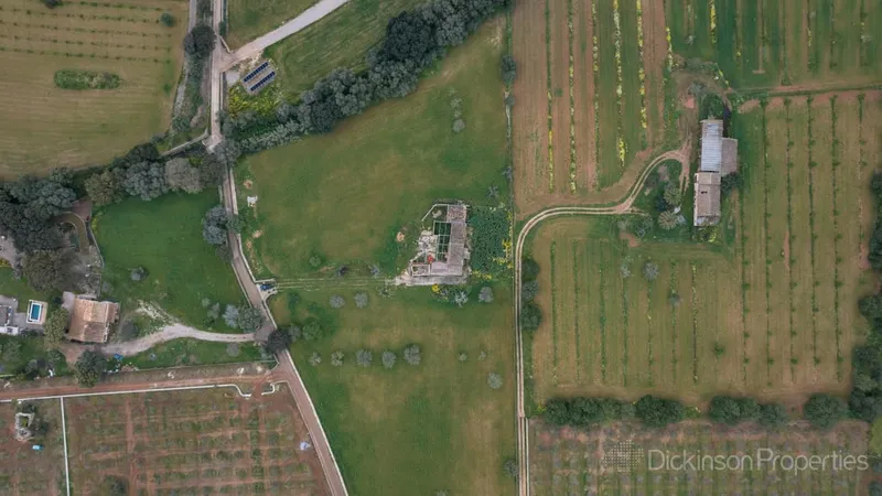 A 47,231 m² plot in Binissalem, Mallorca, with an approved building license, offering panoramic mountain views and proximity to the village center. — photo 5