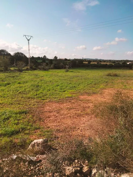 Plot in Llubí of about 3897 m² — photo 4