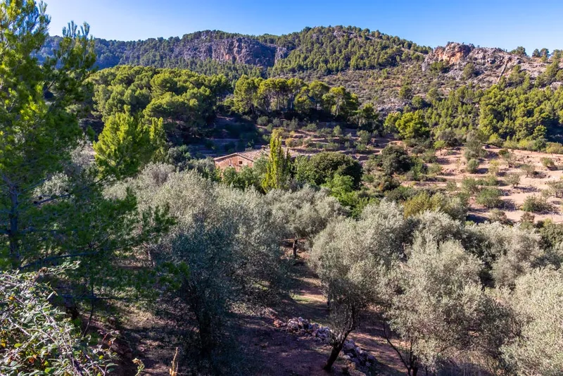 Traditional Mallorca Finca in the outskirts of Sóller — photo 8
