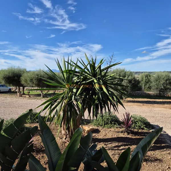 Charming finca near the Rafa Nadal School – Manacor — photo 10