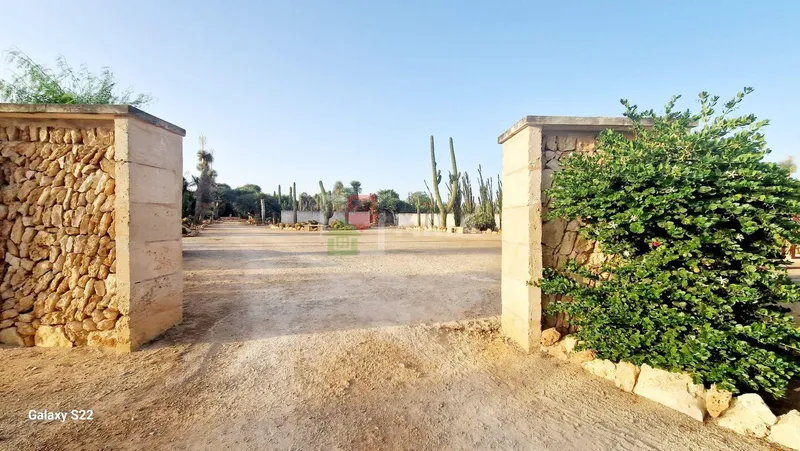Plot for sale – Ses Salines (Mallorca) — photo 2