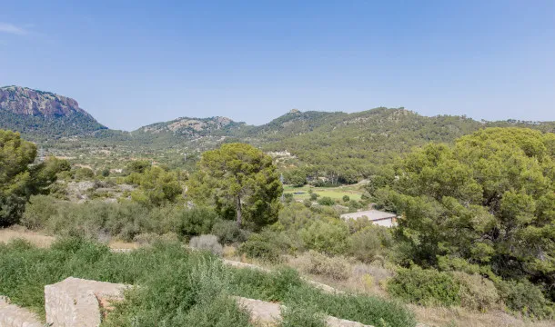Impressive estate overlooking the Bay of Camp de Mar — photo 10