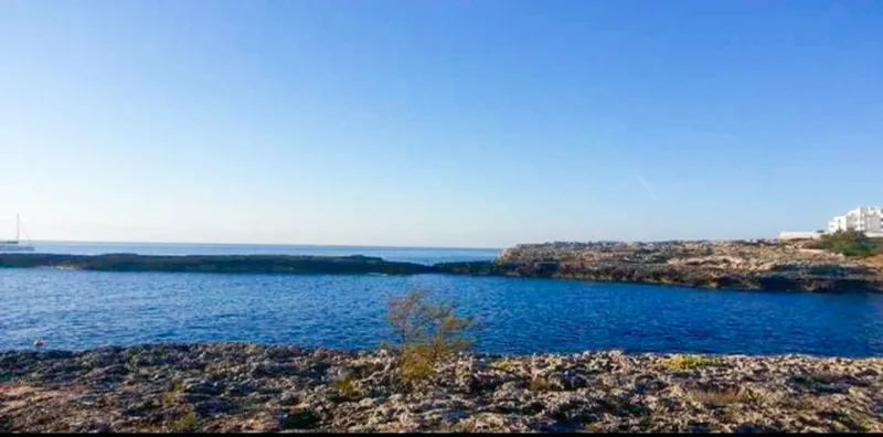 Double building plot on the first sea line in Cala d'Or — photo 2