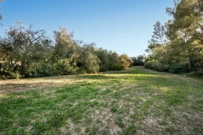Rustic land in Lloret de Vista Alegre — photo 1