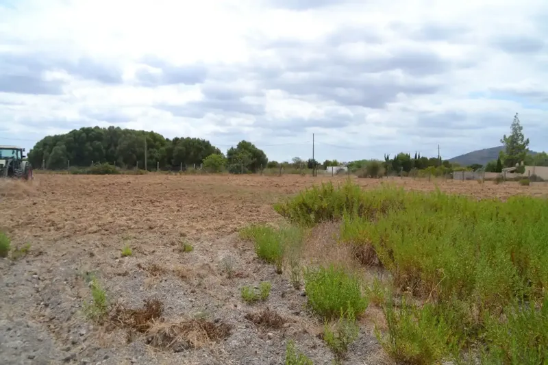 In Campanet, finca of about 14,270 m2 of land, completely fenced, with several water wells, town water and Gesa electricity. Views to — photo 8