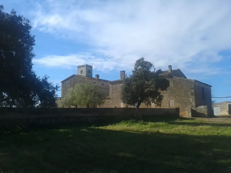Impressive 18th Century Estate in Algaida — photo 6