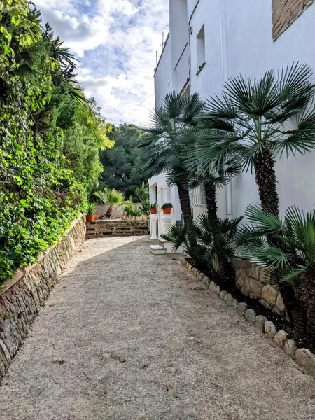 Apartment building in Son Verí — photo 4