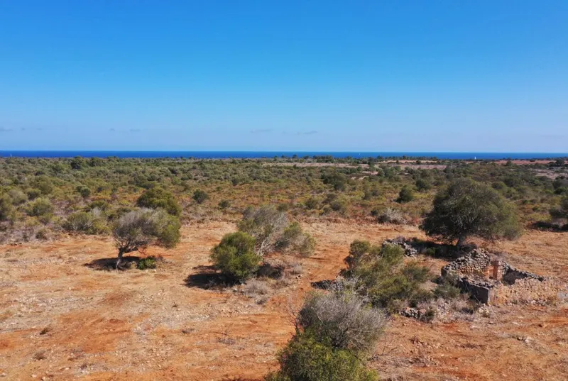 Plot with license in Cala Varques — photo 2