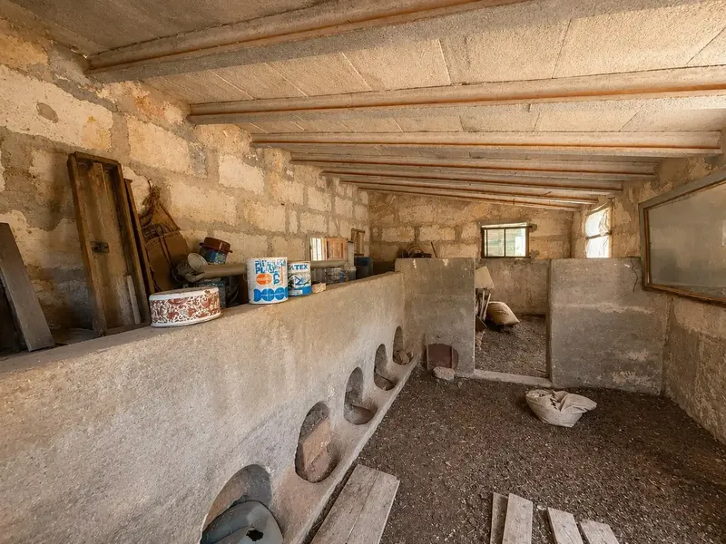 Rustic finca located a few minutes from the town center, in a quiet environment surrounded by nature. — photo 3