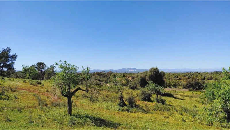 Land in Felanitx, Province of Balearic Islands — photo 1