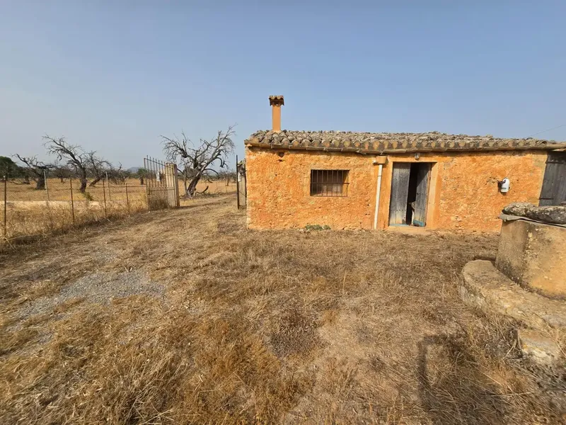 A blank canvas of almost 25,000 m2 in the center of Mallorca with its own well? Yes, it exists. — photo 1