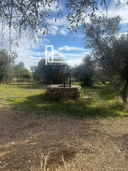 Beautiful rustic estate for sale in Mancor de la Vall (Mallorca), located in a privileged position, at the highest point of the municipality — photo 10