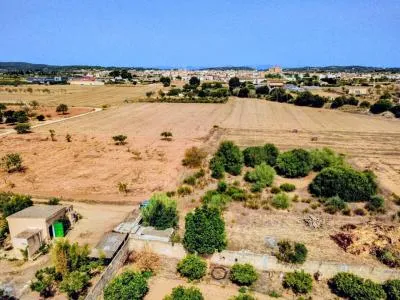 Rustic property - Porreres (Afueras) — photo 3
