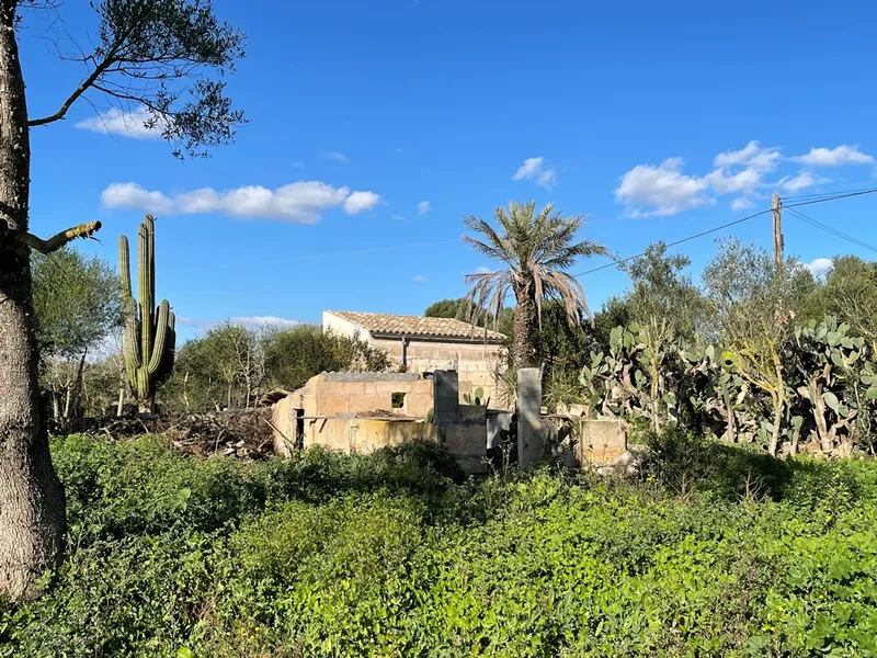 Small rustic finca with land of 20,000 m² for sale with project for a detached house of 225 m² — photo 9