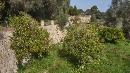 Rustic property - Llucmajor (Llucmajor (Campo)), Built Surface 1132m2, Plot Surface 171521m2, 5... — photo 7