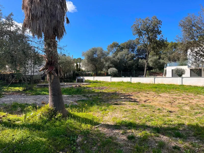 Plot of 1,100 m2 in Crestatx for a single-family home — photo 7