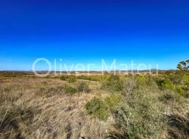 plot in Petra — photo 8