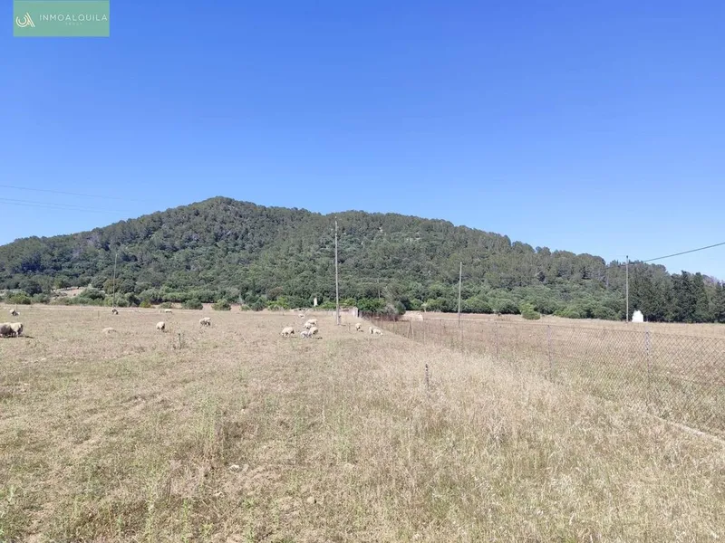 Land in sa Pobla, Province of Balearic Islands — photo 5