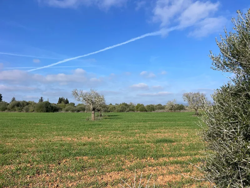Buildable plot in Campos, Revellar, with large finca project with pool — photo 4
