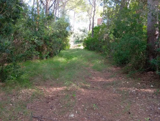 Exclusive residential plot for sale in a prestigious area of Puerto Pollensa, Mallorca — photo 2