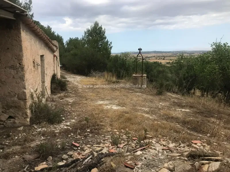 Old house surrounded by nature and with many possibilities!! Palma House Inmobiliaria offers you this spectacular rustic plot of about — photo 5