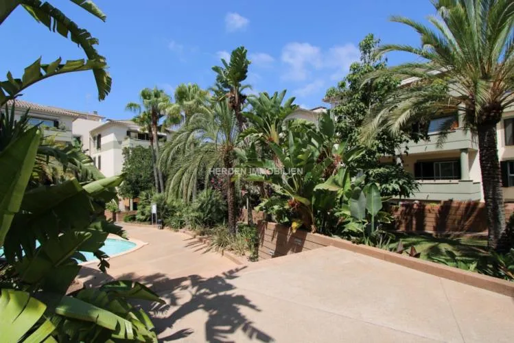 Penthouse San Agustin Mallorca for Rent — photo 3