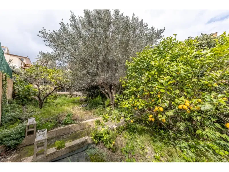 Village house with large garden, views and building plot in the charming village of Selva — photo 3
