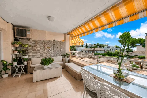 Apartment in Palmanova, Mallorca — photo 8