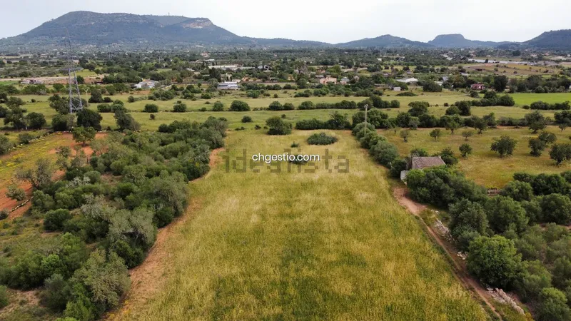 Plot in Llucmajor — photo 1