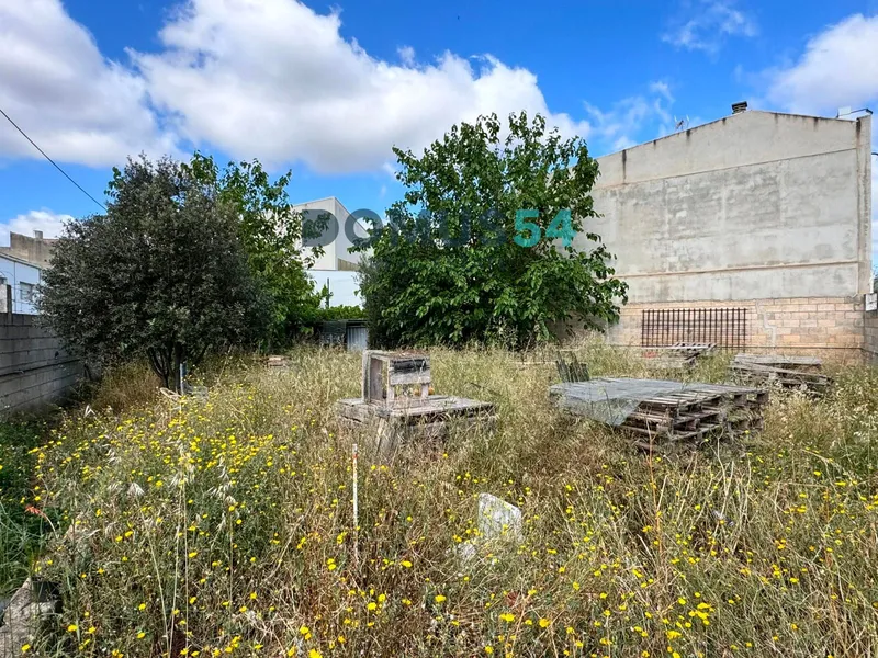 plot in Sa Pobla — photo 2