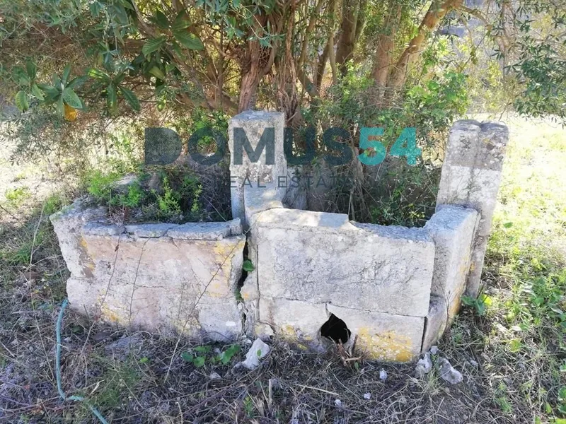 Rustic land not for building in Campanet — photo 9