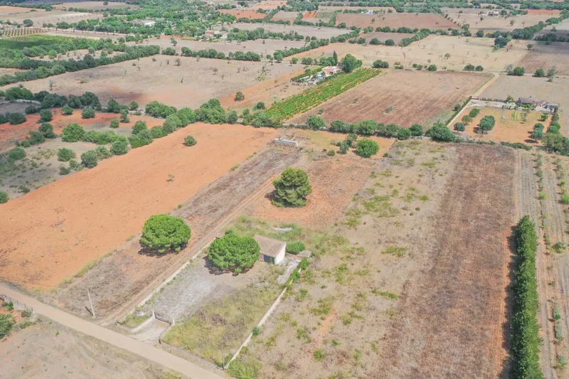 Small finca near Felanitx — photo 12