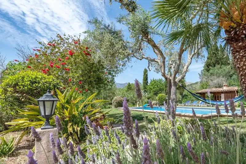 Located in a quiet rural area just minutes from the center of Pollensa, this charming rustic finca offers the perfect balance — photo 3