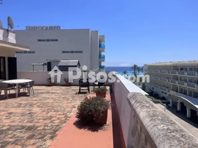 Apartment in Cala Millor — photo 1