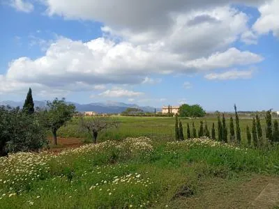 Biniali — photo 2