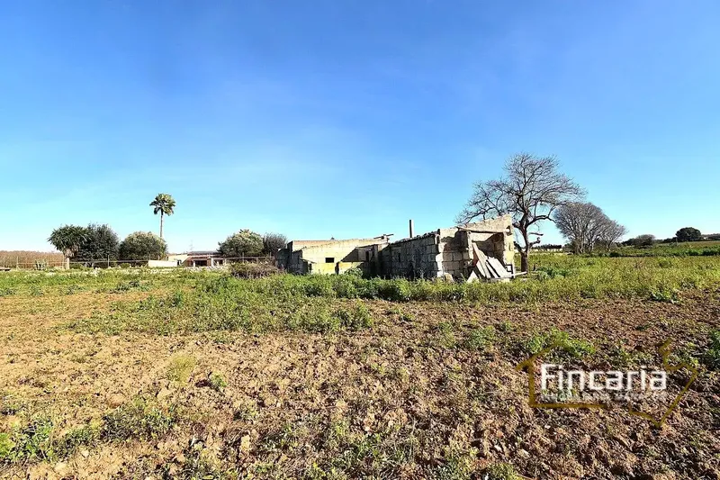 Sensational agricultural warehouse in perfect condition located in the Son Llunes area, 2.5 km from Manacor. Warehouse of 85 m — photo 6