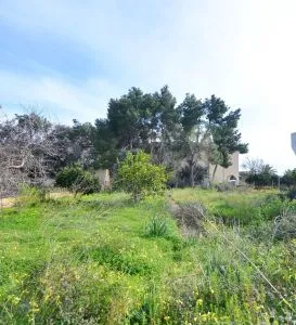 Rural Land - Santanyí (Alqueria Blanca) — photo 3