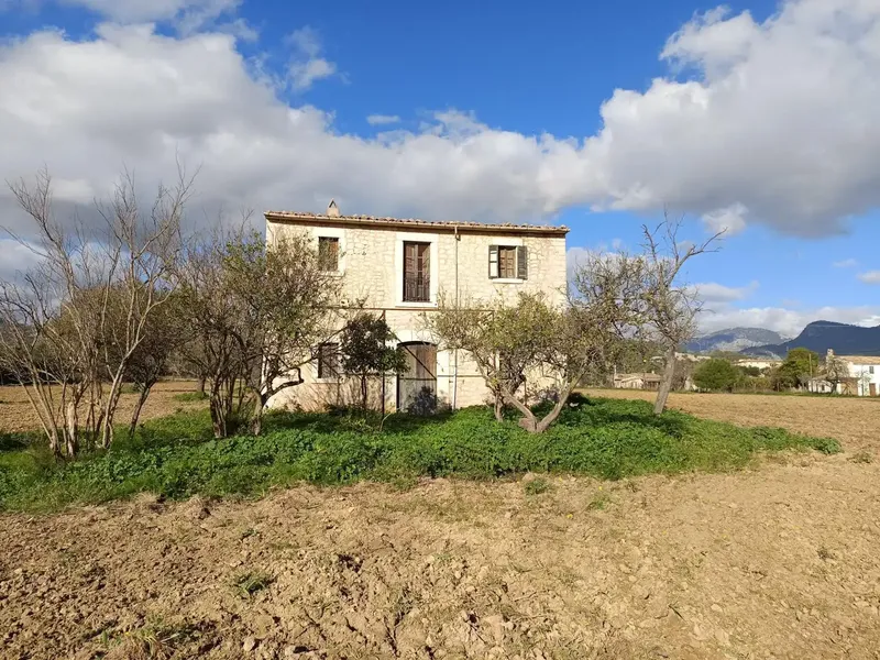 Rustic house in Binissalem — photo 8