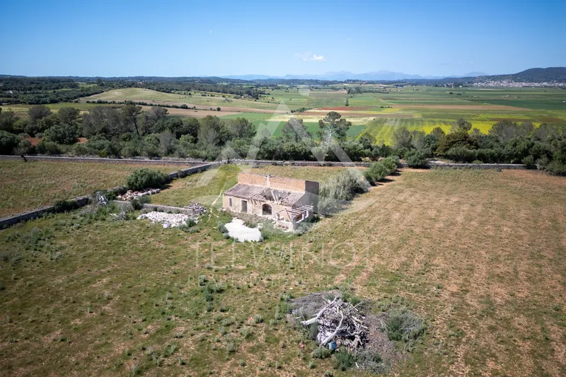Old finca to renovate between Felanitx and Vilafranca — photo 4