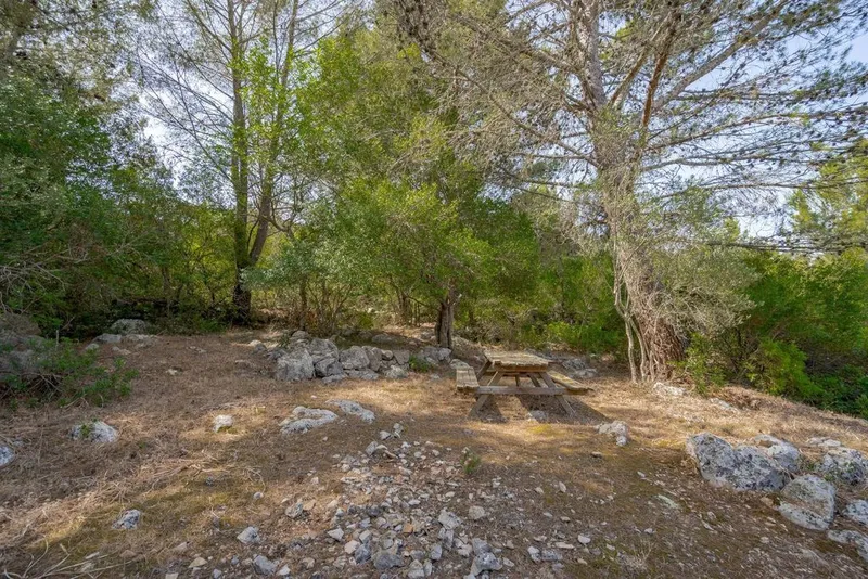 Rural or Farmhouse in Campanet, Province of Balearic Islands — photo 12