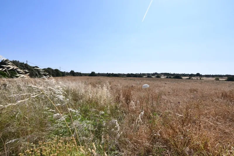 Plot with an existing building of 240m2 on the outskirts of Ses Salines — photo 1