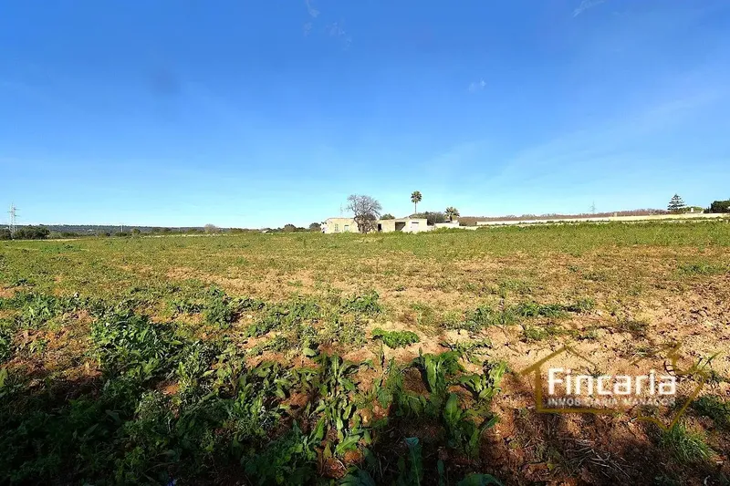 Sensational agricultural warehouse in perfect condition located in the Son Llunes area, 2.5 km from Manacor. Warehouse of 85 m — photo 8