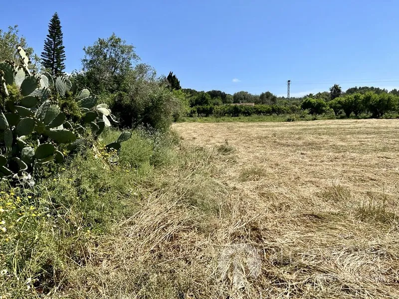 Land — photo 4